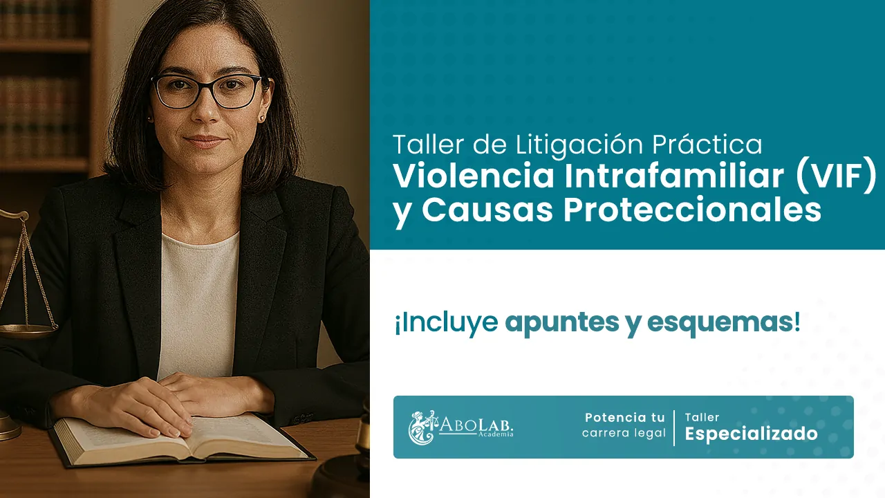 Taller de Litigación Práctica: Violencia Intrafamiliar y Causas Proteccionales